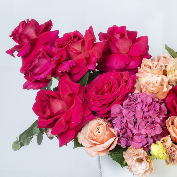 Luxurious Red and Peach Rose - Image 2