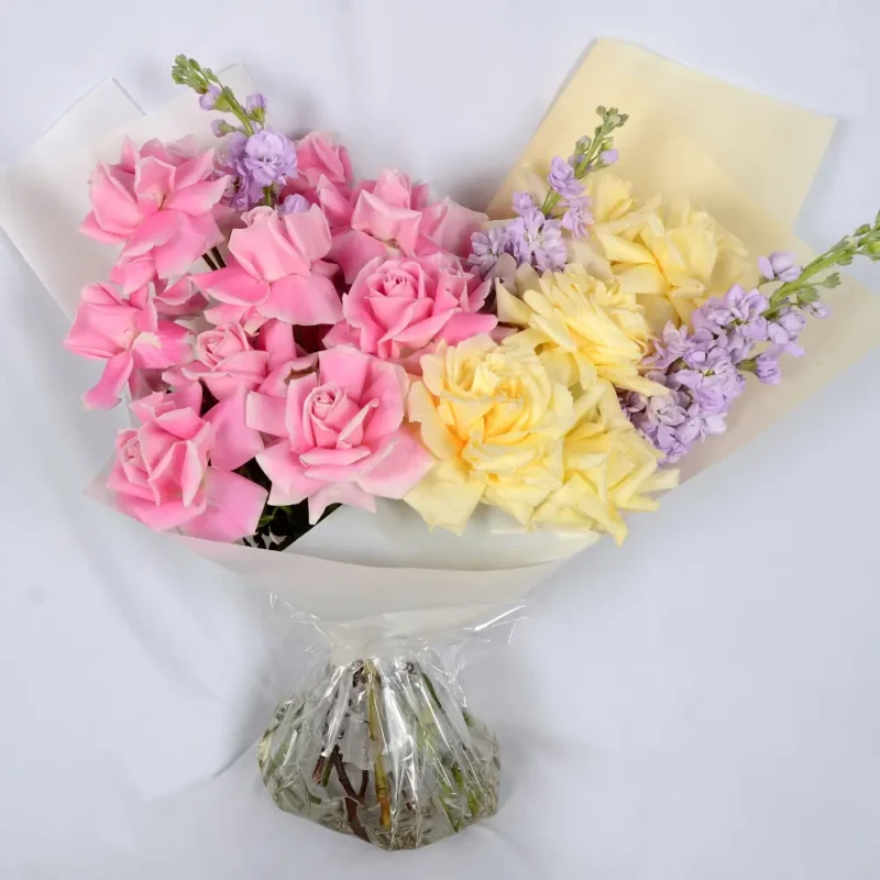 Blush & Sunbeam - Image 2