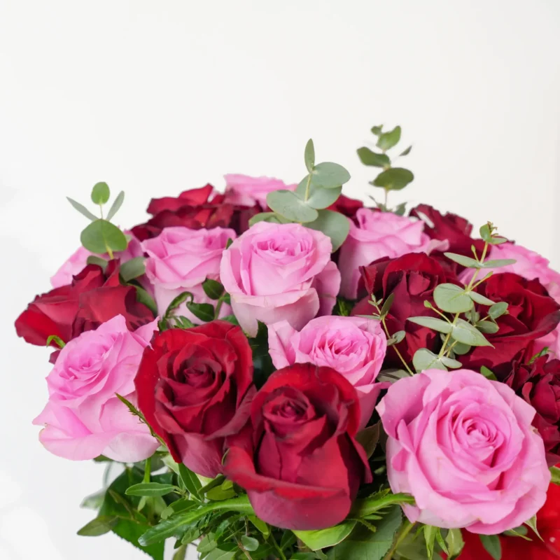 Pretty in Pink - Image 3